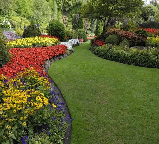 Landscape Company Garden Grove